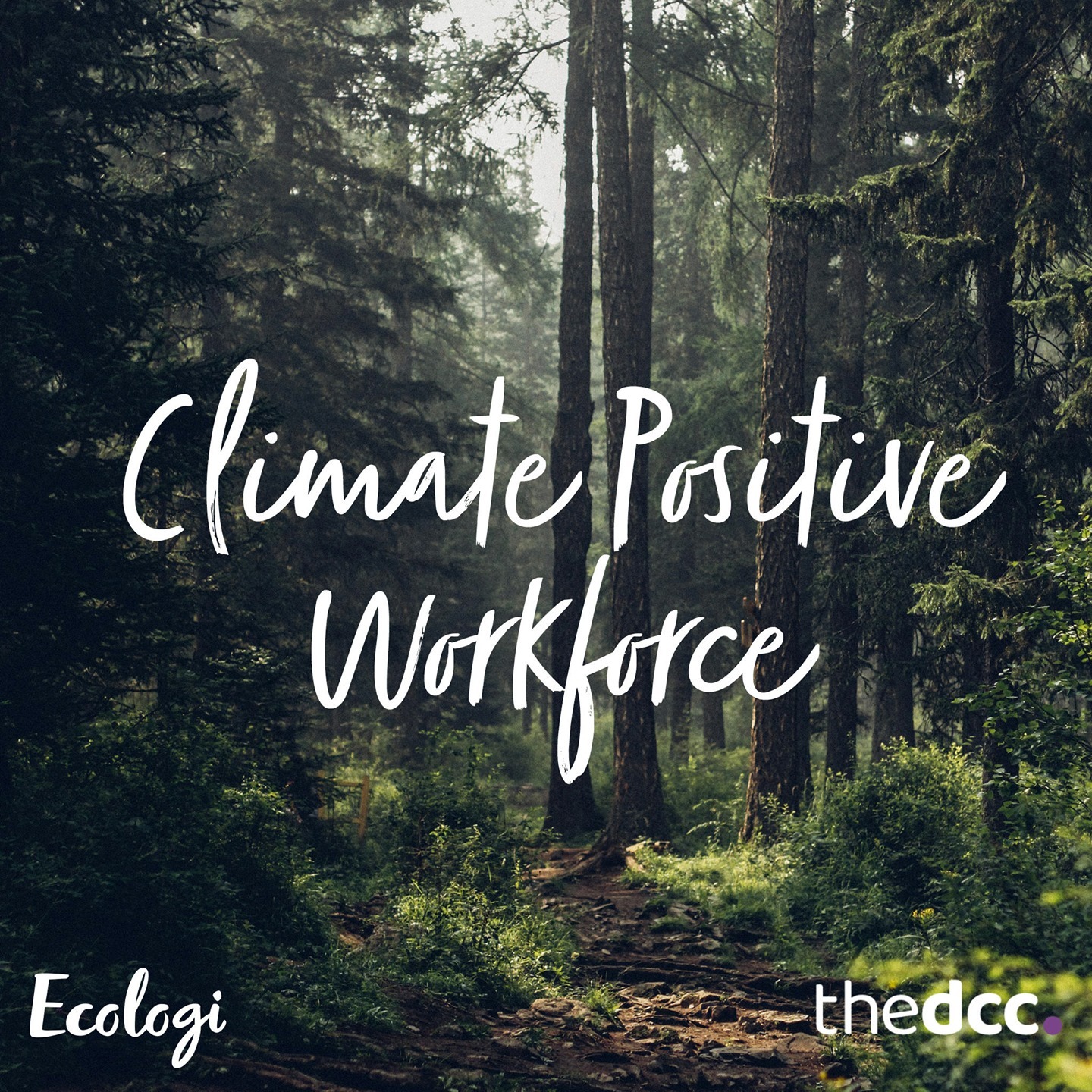 Proud to announce that we are now a Climate Positive Workforce and we'll be planting lots of lovely trees every month, thanks to @ecologi_hq 🌱 🌳